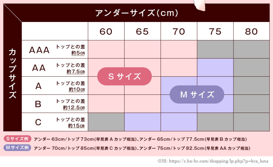 ルーナナチュラルアップナイトブラ サイズ表