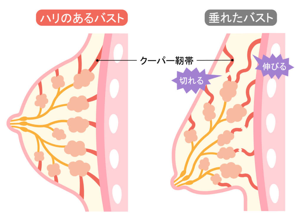 胸が大きいと垂れるのは必須 イクチチ